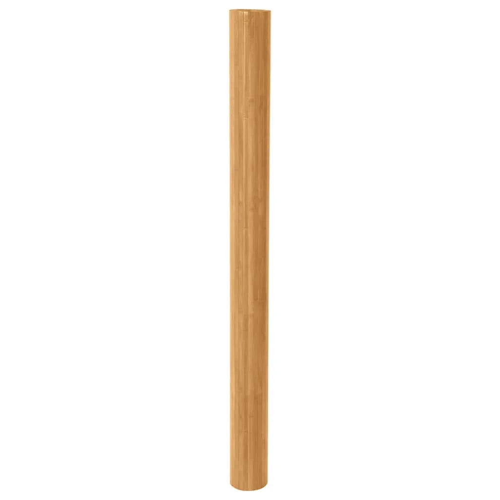 Paravent Bambou Naturel — Grande Largeur 250 × 165 cm