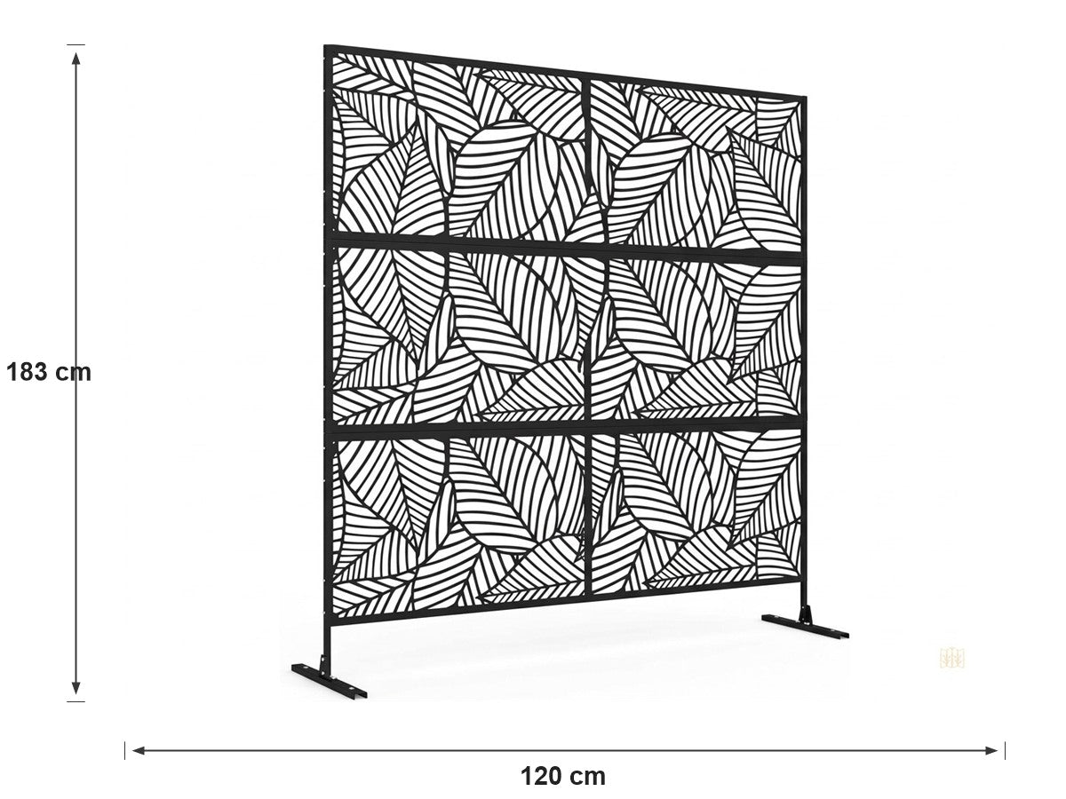 dimensions motif d